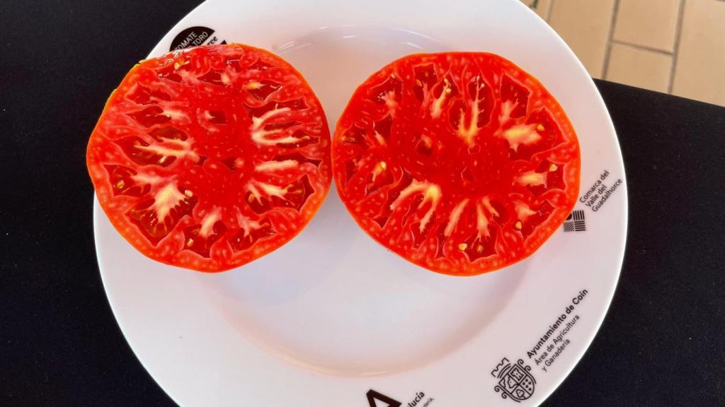 Un tomate Huevo de Toro de esta temporada.