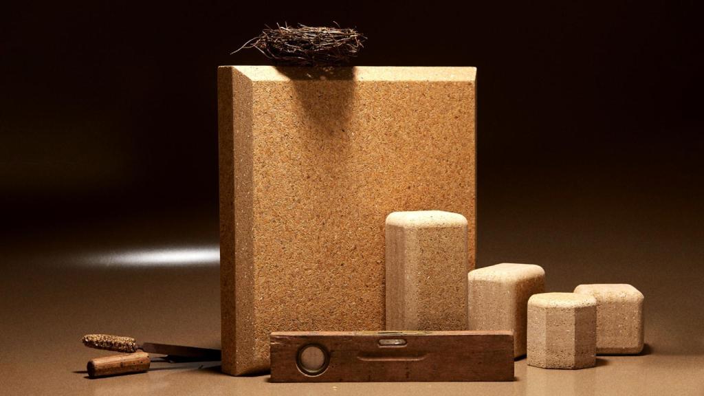 Muestras hechas con el material a base de cascarilla de arroz.