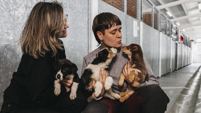Dos voluntarias en la protectora de Salvando Peludos, Madrid.