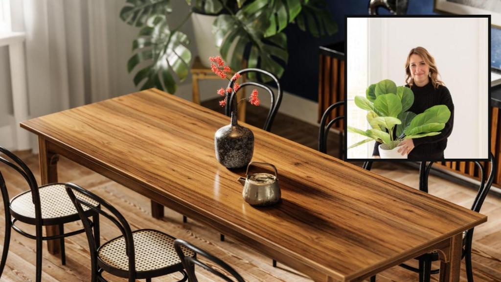 Virginia Cesena, interiorista.