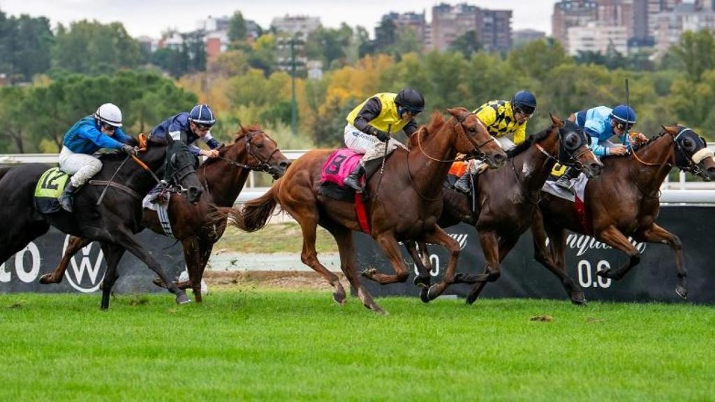 Carreras del Hipódromo de Madrid.
