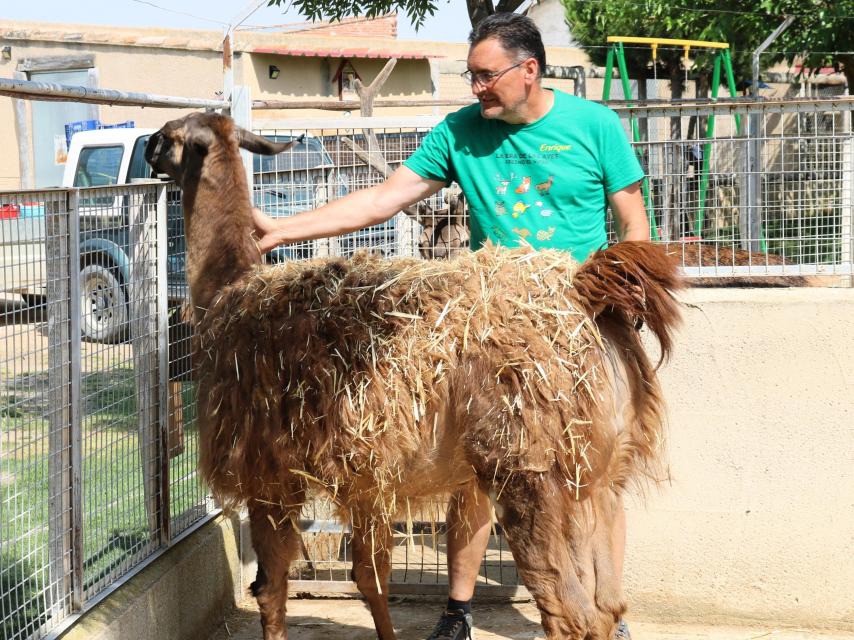 El centro tiene más de 800 animales.