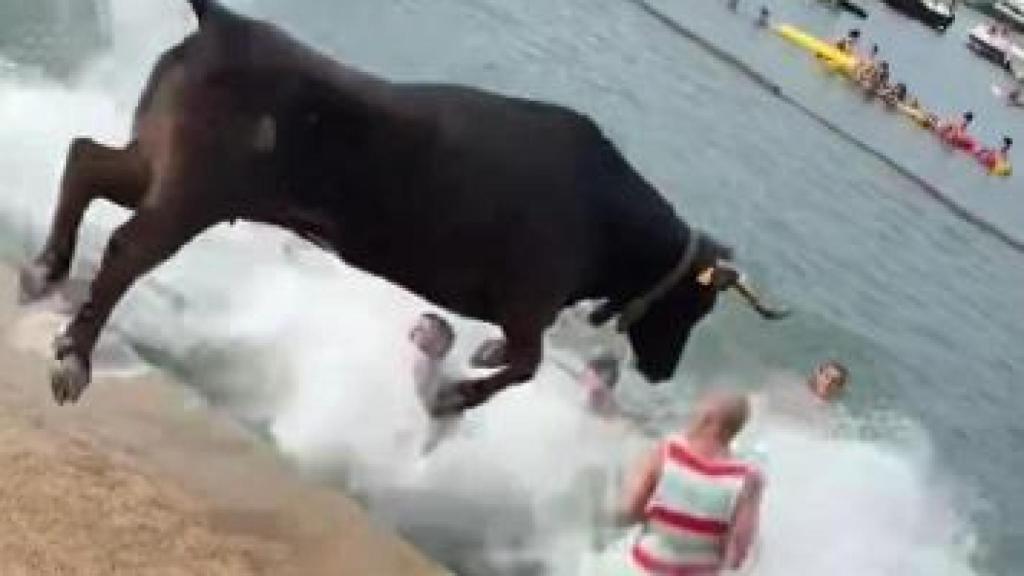 Un toro saltando al agua en los Bouls al mar.