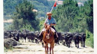 MArques de Valdueza a caballo para HOLA (1)