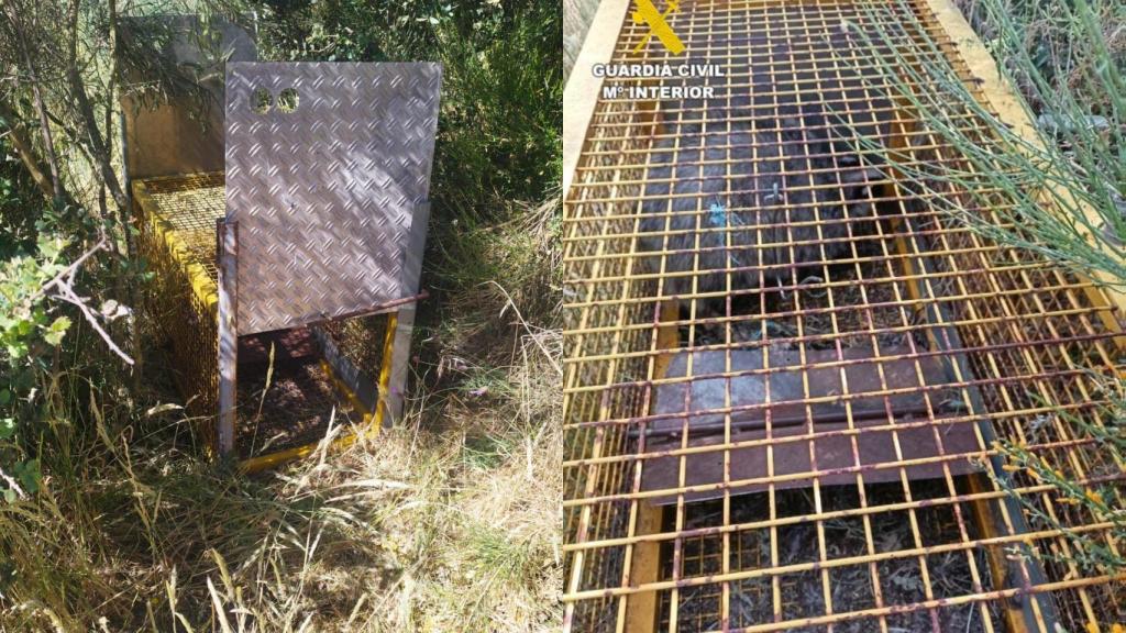 Jaula donde tenía al animal