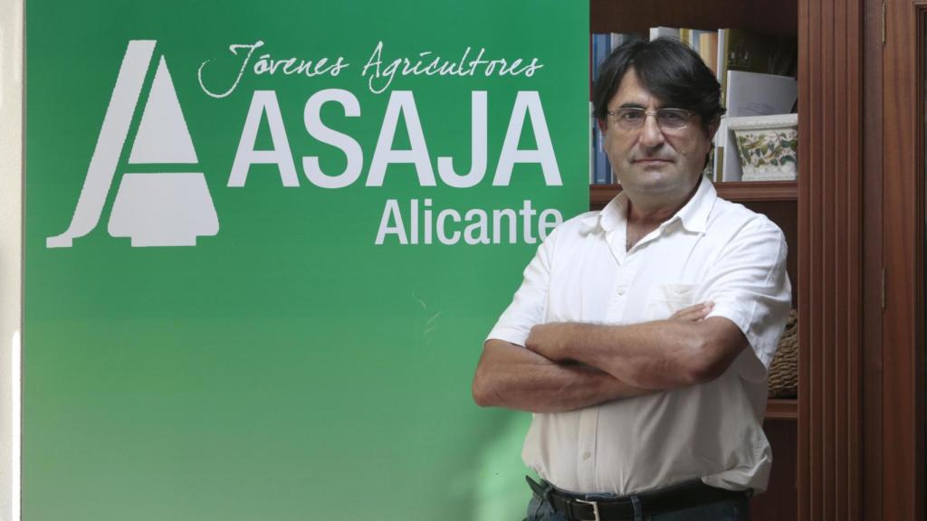 José Vicente Andreu, presidente de Asaja Alicante en su despacho.