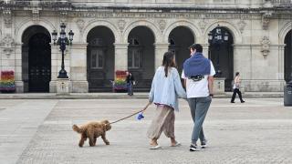 Una pareja pasea un perro en A Coruña.