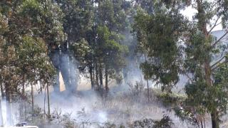 Los bomberos de A Coruña actúan en dos incendios en Xuxán y San Amaro