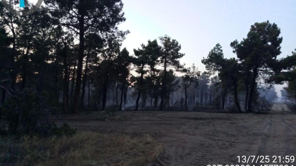 El pinar llano de Cuéllar tras controlar el incendio