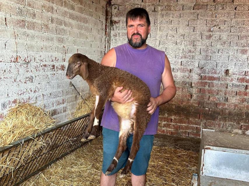 David con una de sus ovejas