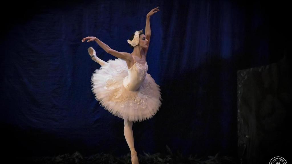 Una imagen de 'El Lago de los Cisnes'. Foto:  Xavier Llovet