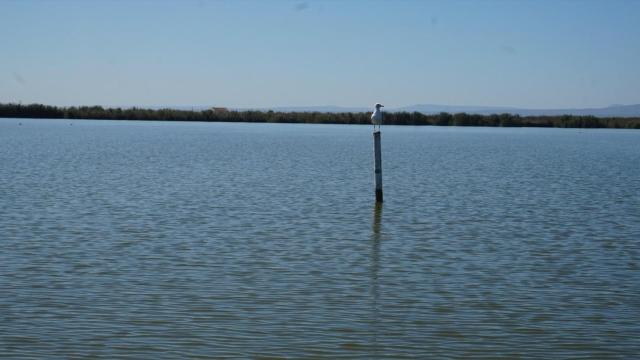 L'Albufera de Valencia. UPV
