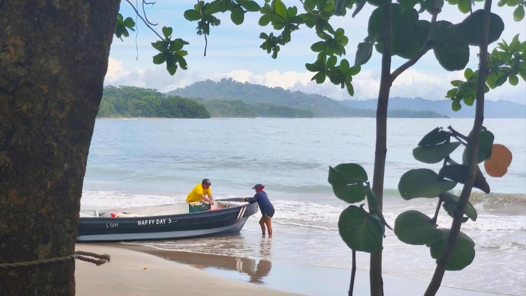 La playa de Punta Uva en Limón, en el Caribe Sur de Costa Rica.