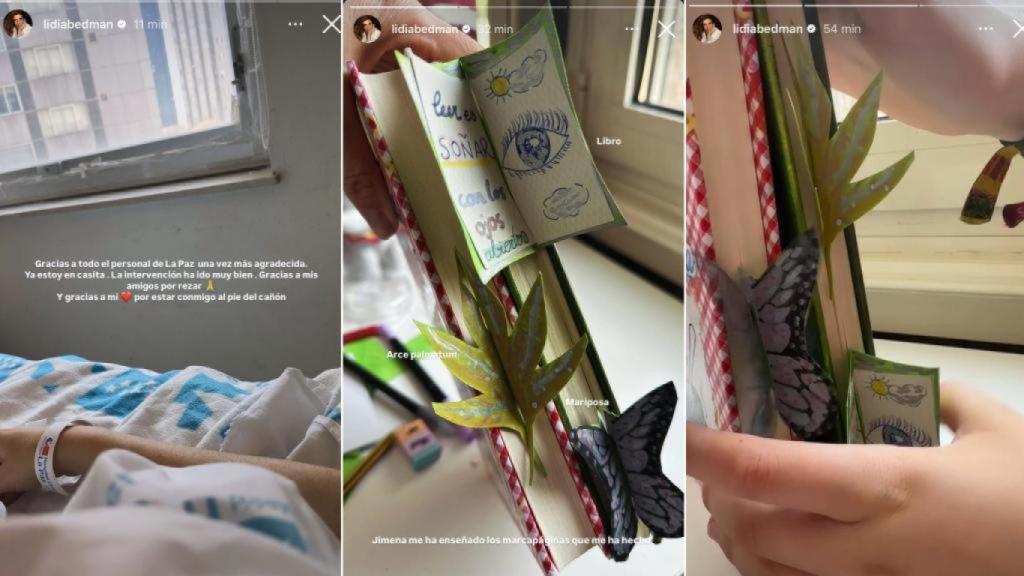 Las tres publicaciones que ha compartido Lidia Bedman.