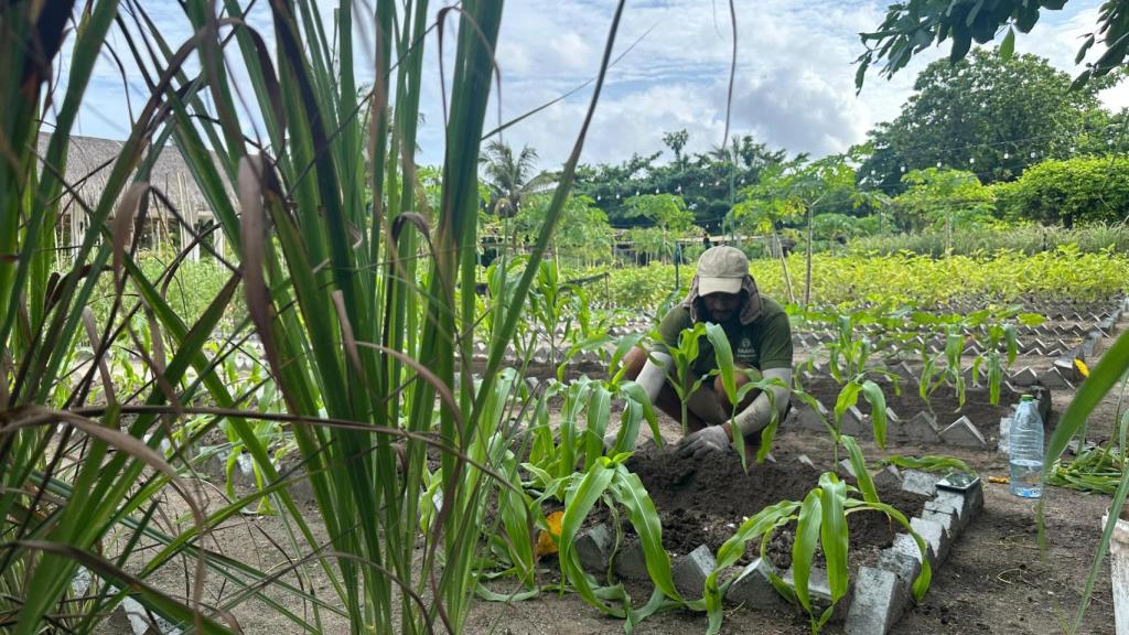 El huerto tiene varias personas a su cargo que se encargan de su cuidado.