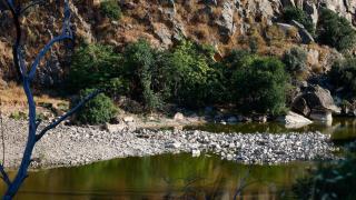 El verano devuelve al río Tajo a su triste realidad: las imágenes de la bajada del caudal