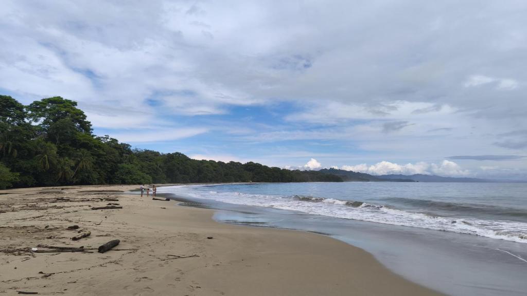 Playa de Punta Uva.