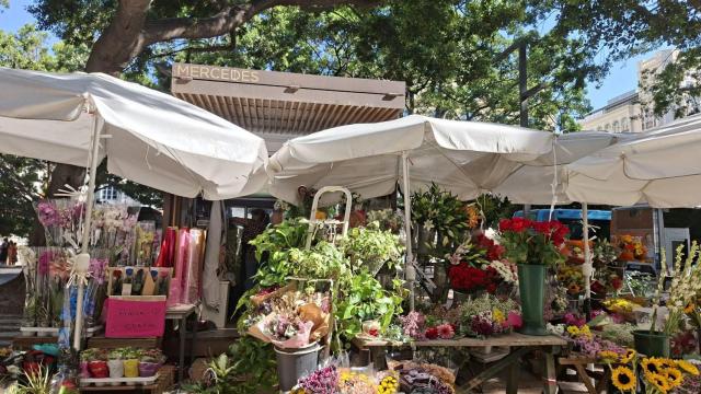 Floristería Mercedes.