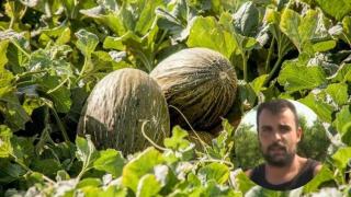 Bryan, agricultor de Moncofa. EE