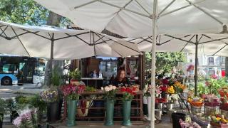 Toñi, florista en Málaga.