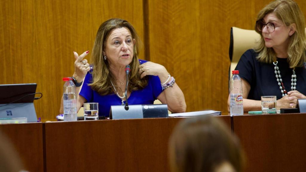 La consejera de Educación, María del Carmen del Castillo.