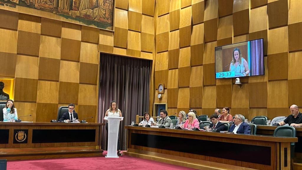La portavoz de Zaragoza en Común, Elena Tomás, en su intervención de esta tarde.