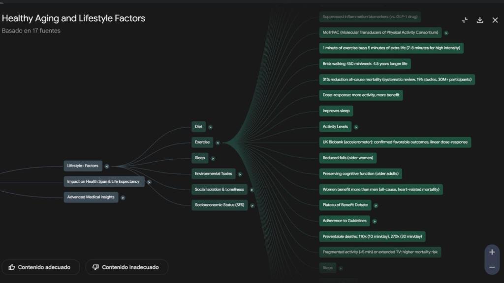 El mapa mental de uno de los cuadernos de NotebookLM