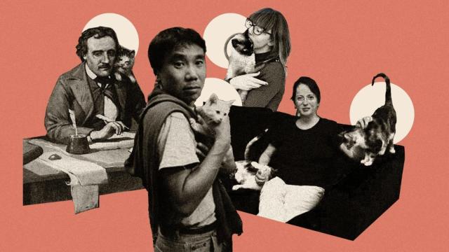 Los escritores Edgar Allan Poe, Haruki Murakami, Laura Augustí y Marta Sanz con sus respectivos gatos.