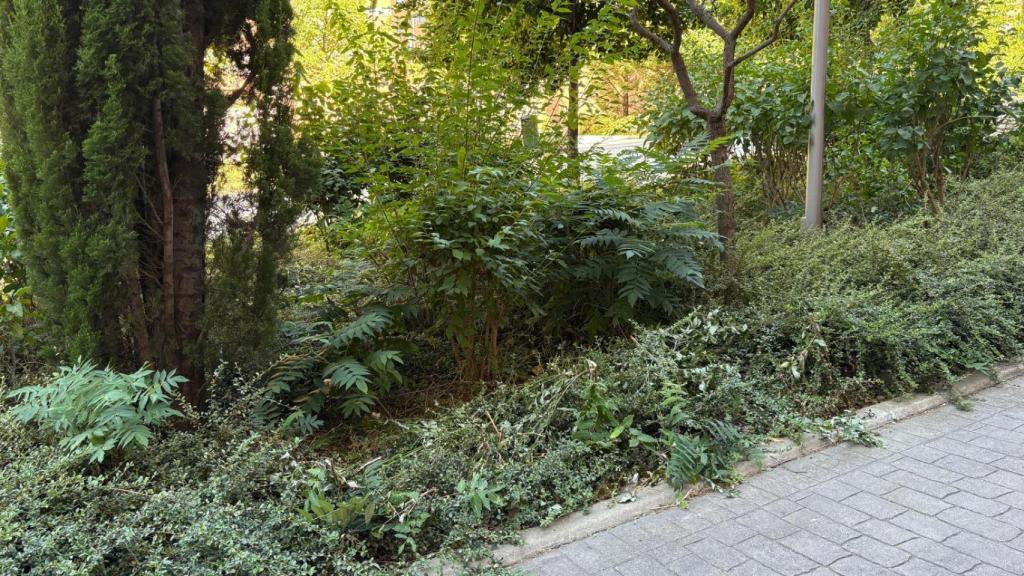 El punto exacto en el que Cristian fue reducido.