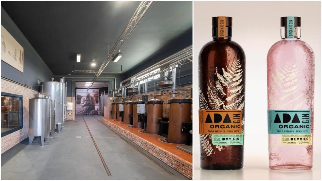 La ginebra ecológica que conquista Galicia se destila en Pontevedra: Lo importante es la materia prima