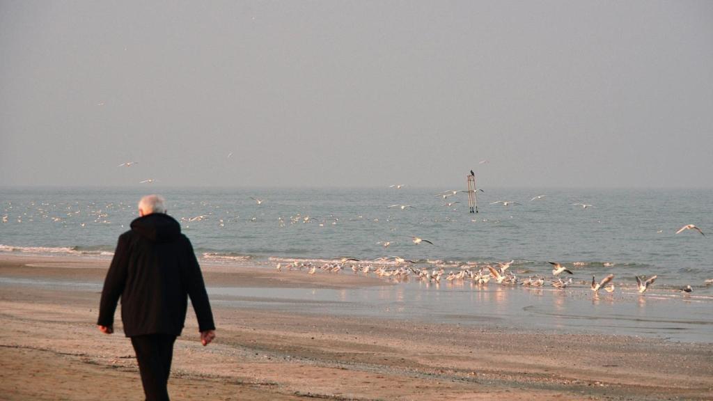 Una persona mayor camina junto al mar.