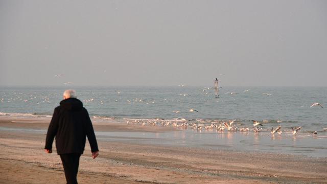 Una persona mayor camina junto al mar.