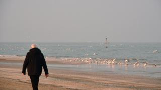 Una persona mayor camina junto al mar.