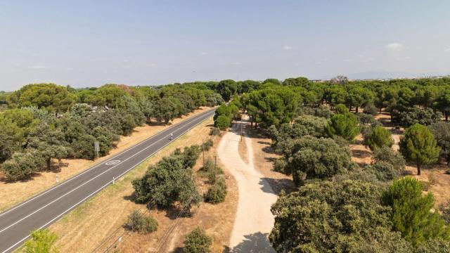 Vías verdes de Boadilla del Monte.