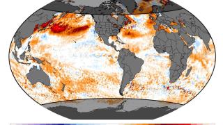 Anomalías de temperatura oceánicas registradas el pasado 15 de julio.