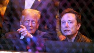 Trump y Musk, cuando eran aliados, en una velada de artes marciales mixtas.