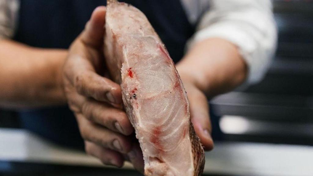 Mero amarillo Conil con un reposo en cámara de 7 días.