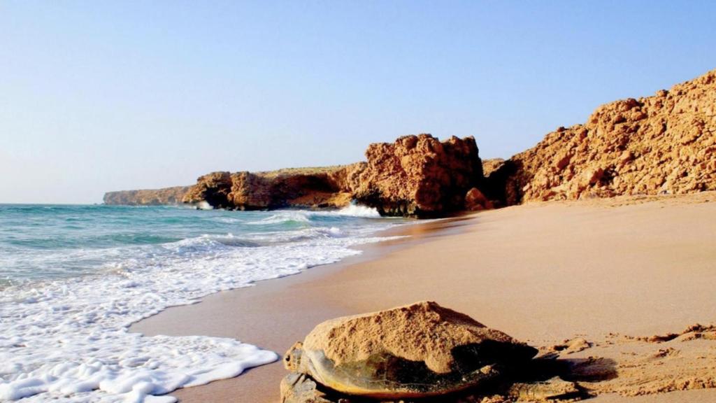 Costa del sur del país.