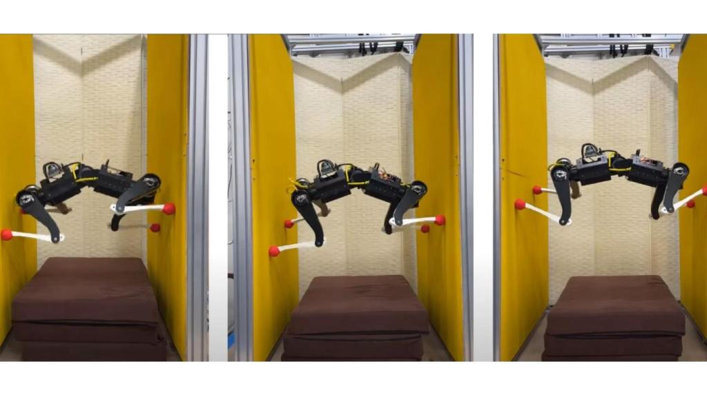 Ejemplo de KLEYN subiendo paredes.