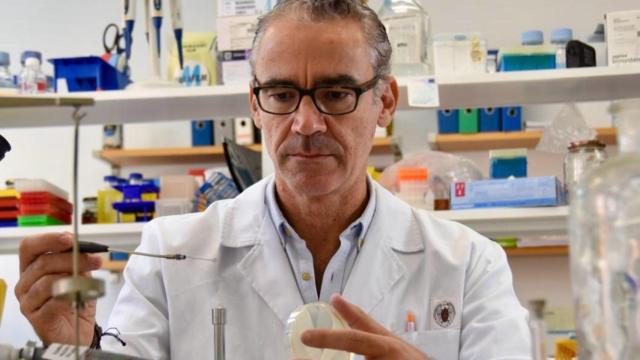 Bruno González-Zorn, líder de la investigación, en su laboratorio.
