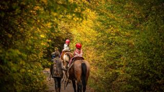 Niños montando a caballo.