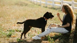 Un perro con una chica en la playa.