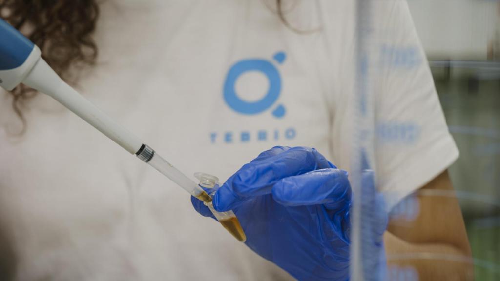 Una imagen del laboratorio de Tebrio.