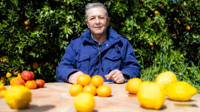 Vicente Todolí en su fundación citrícola. Foto: Jeosm