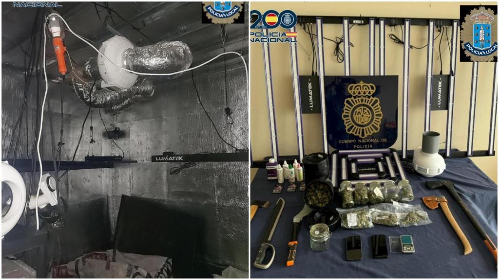 Desmantelan en un piso de A Coruña una plantación de marihuana