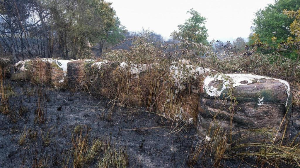 Incendio forestal en Lalín (Pontevedra): Extinguido tras quemar 83 hectáreas