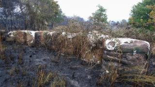 Incendio forestal en Lalín (Pontevedra): Extinguido tras quemar 83 hectáreas