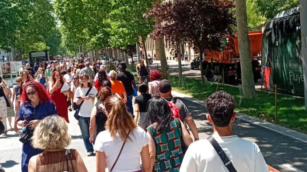 Corte en el tranvía de Zaragoza entre las paradas de plaza España y Granvía por un accidente