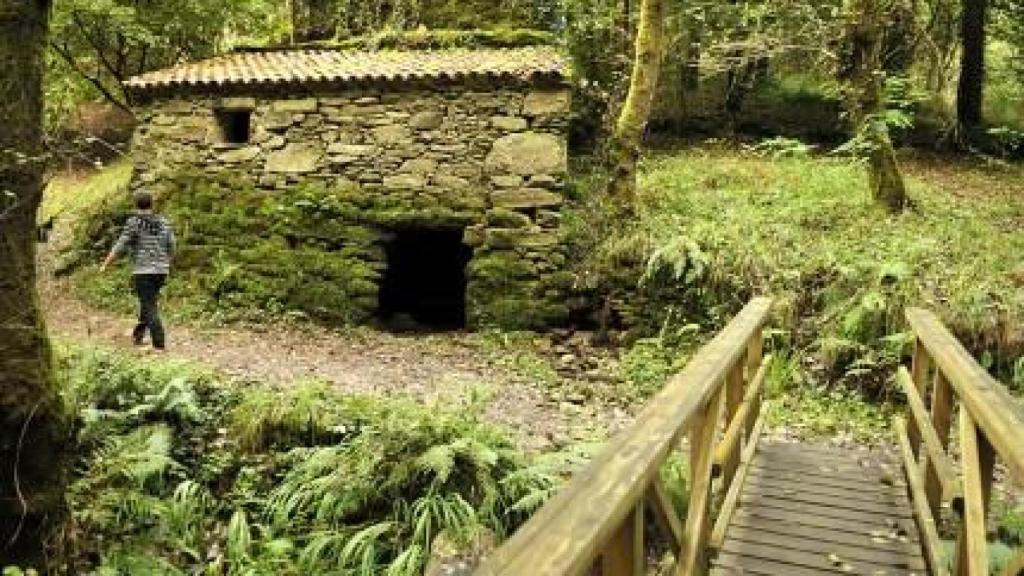 Ruta del río Eifenso