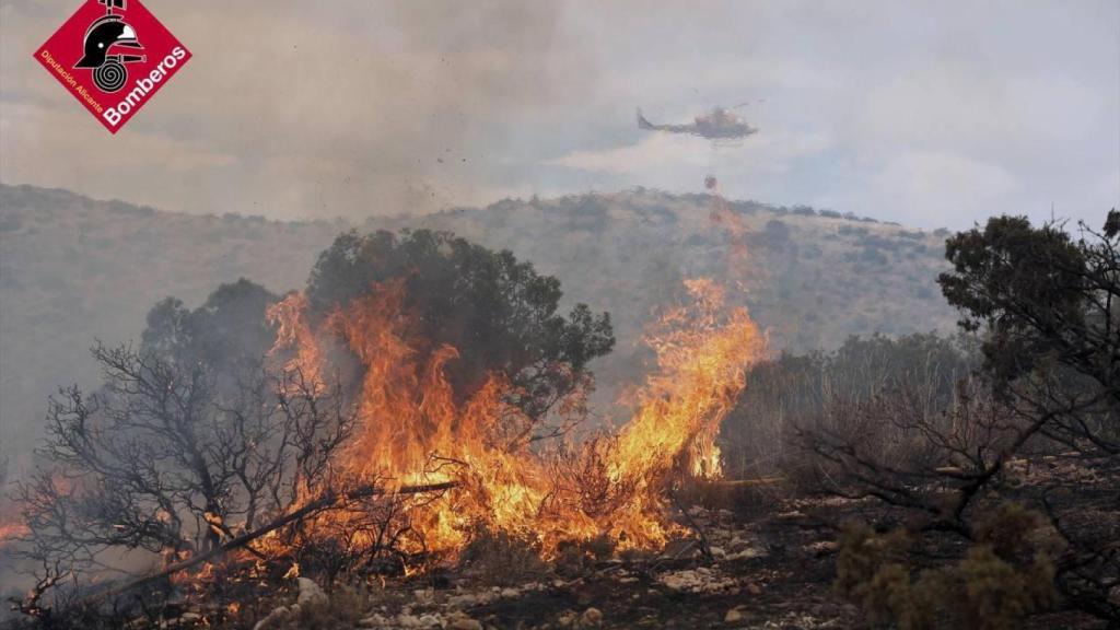 El fuego devora la vegetación del paraje de San Pascual, en Ibi.